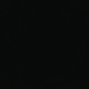 Meet your Posher, Everestus